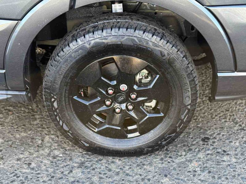 2025 Bailey Adamo 69-4