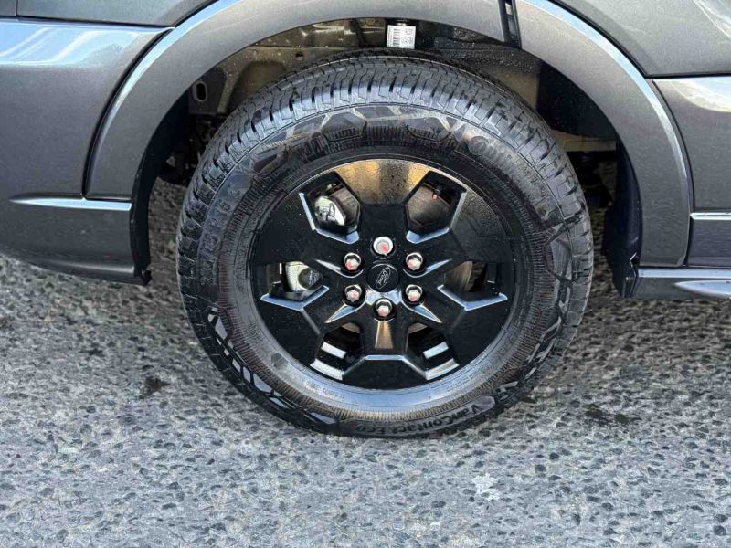 2025 Bailey Adamo 69-4