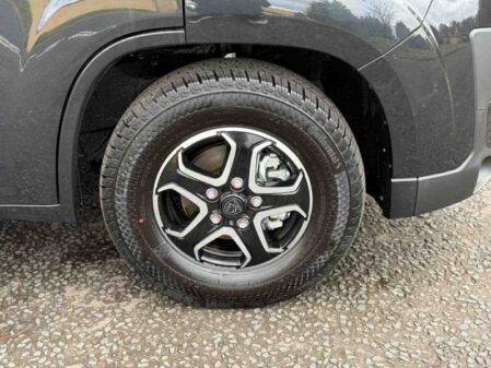 2026 Bailey Autograph 79-4T