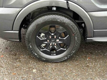 2026 Bailey Adamo 75-4I